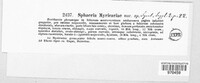 Sphaeria myricariae image